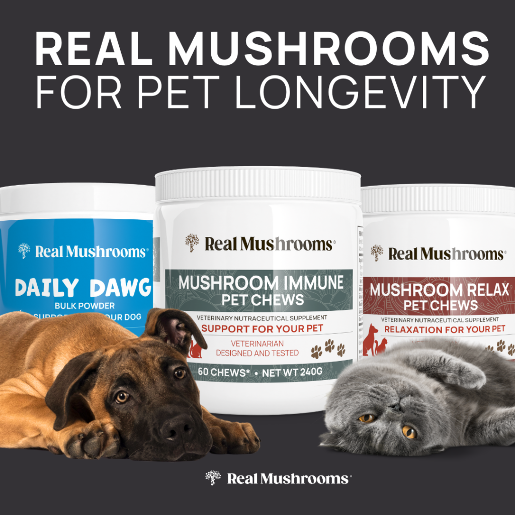 Daily Dawg Real Mushrooms